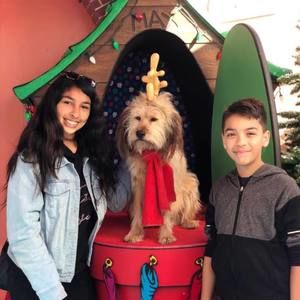 Meet your Posher, Holly